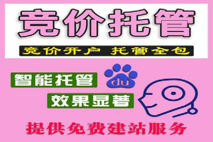 抖音信息流广告代理服务的市场现状与未来趋势
